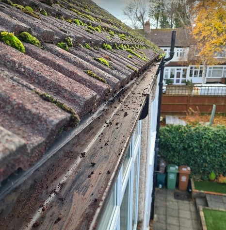 Parker's Environmental Solutions Team